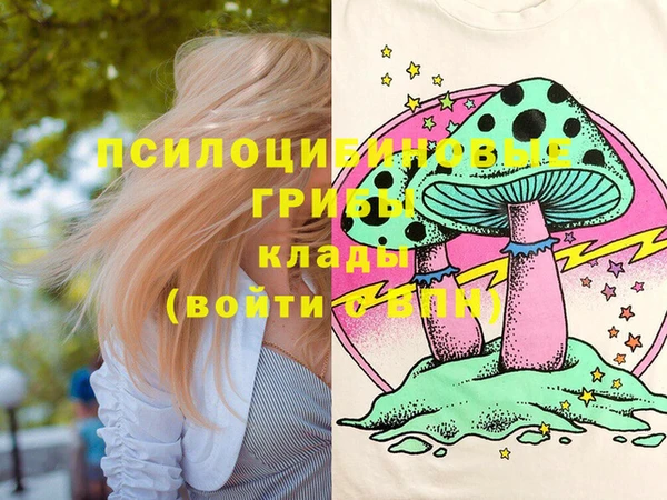 спайс Гусь-Хрустальный