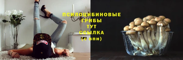 МДМА Вяземский