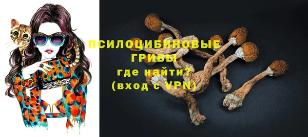jwh Гусев