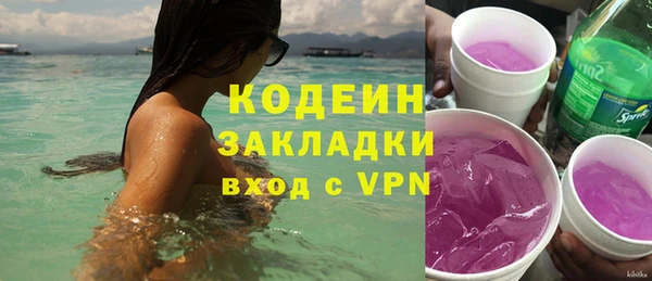 спайс Гусь-Хрустальный
