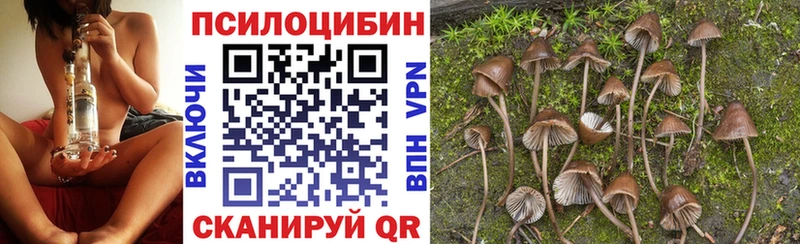 Галлюциногенные грибы Cubensis omg ссылка Дубна
